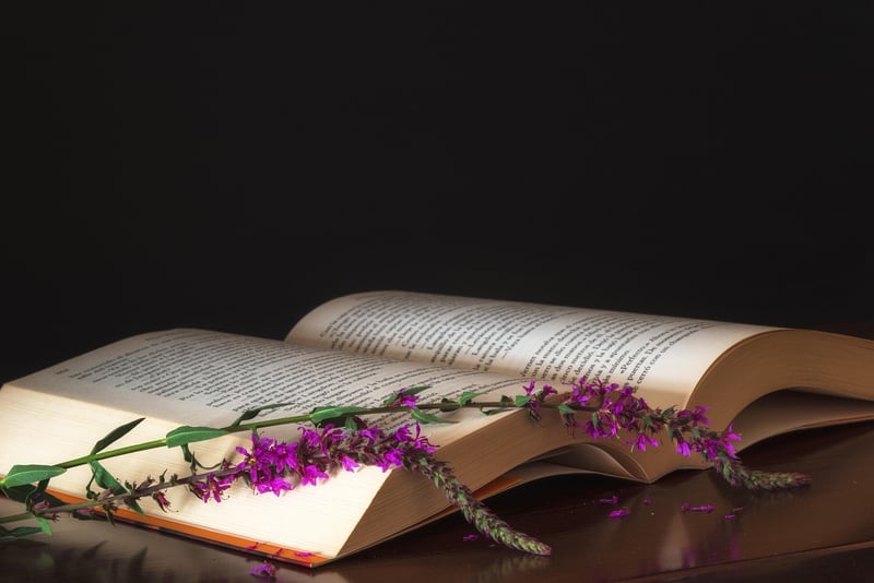 Aromatherapy Essential Oils